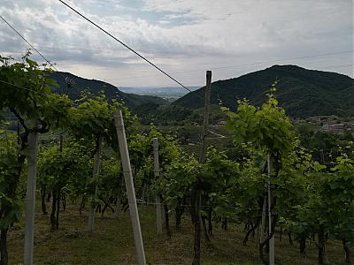IMG_20180511_093512.jpg