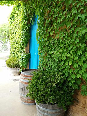 IMG_20190504_123651.jpg