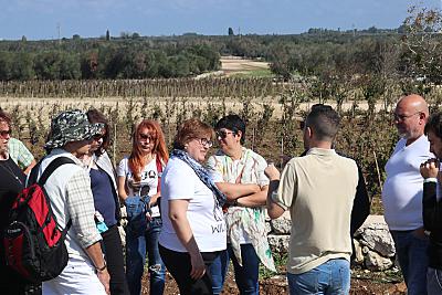 IMG_3992.jpg
