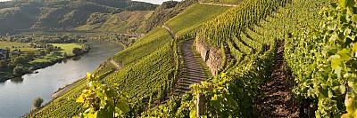 iStock_171581670_Moselle_Valley_Luxembourg_15989967_3000x1000.jpg