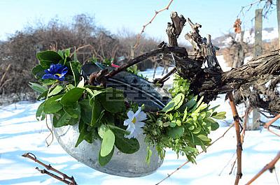 x620_TrZarezan056_jpg_pagespeed_ic_3rAn7Oo10B.jpg